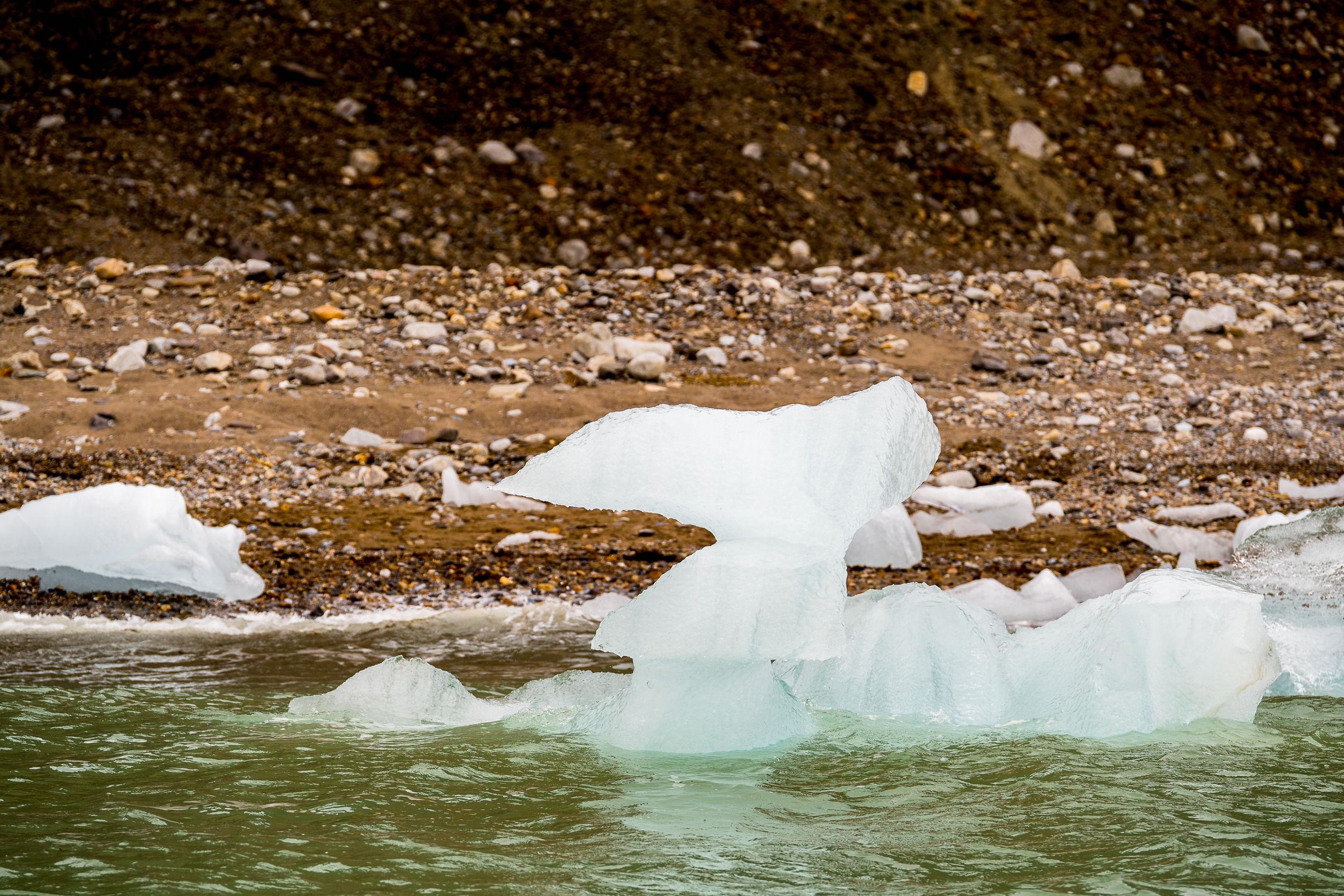 global-warming.jpg global-warming.jpg