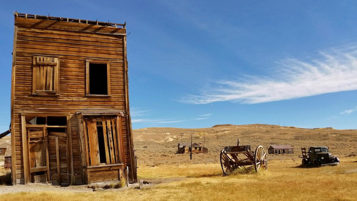 bodie.jpg
