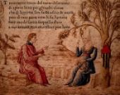 Francesco Petrarca
