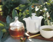 Benessere naturale: star bene con le erbe 