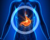 Video: Digestione