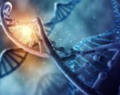 Video: DNA