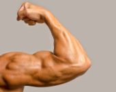 Video: I muscoli