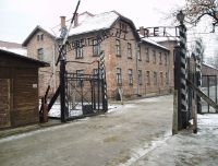Il Giorno della Memoria, per non dimenticare la Shoah