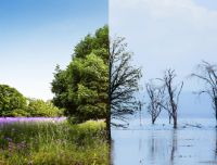 L'antropocene non è un'epoca geologica, ma ne viviamo pienamente gli effetti