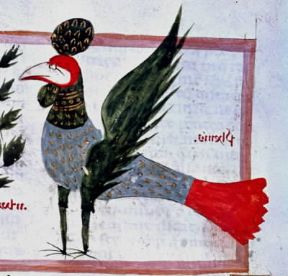 Fenice. Il mitico uccello raffigurato in una miniatura del sec. XIII-XIV (Milano, Bibioteca Ambrosiana).De Agostini Picture Library Fenice. Il mitico uccello raffigurato in una miniatura del sec. XIII-XIV (Milano, Bibioteca Ambrosiana).De Agostini Picture Library