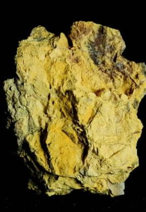 Carnotite. Un campione del minerale radioattivo.De Agostini Picture Library/C. Bevilacqua Carnotite. Un campione del minerale radioattivo.De Agostini Picture Library/C. Bevilacqua