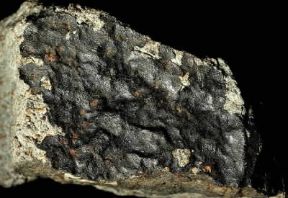Meteorite. Un aerolite composto quasi esclusivamente da silicati.De Agostini Picture Library Meteorite. Un aerolite composto quasi esclusivamente da silicati.De Agostini Picture Library