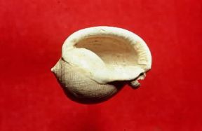 Pliocene. Gasteropode fossile di Semicassis laevigata (Milano, Museo di Storia Naturale).De Agostini Picture Library Pliocene. Gasteropode fossile di Semicassis laevigata (Milano, Museo di Storia Naturale).De Agostini Picture Library