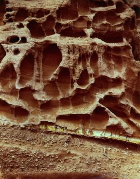 Alveolare. Nicchie di disfacimento e sculture alveolari a Budleigh Salterton, in Gran Bretagna.De Agostini Picture Library Alveolare. Nicchie di disfacimento e sculture alveolari a Budleigh Salterton, in Gran Bretagna.De Agostini Picture Library