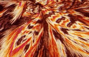 Colesterolo. Microfotografia a luce polarizzata di cristalli di colesterolo.De Agostini Picture Library Colesterolo. Microfotografia a luce polarizzata di cristalli di colesterolo.De Agostini Picture Library