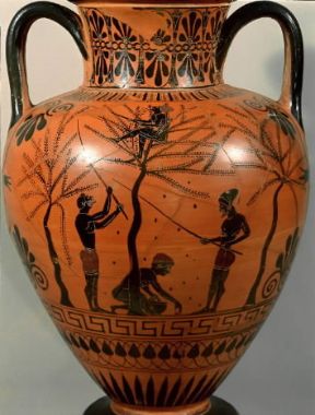 Bacchiatura delle olive raffigurata su un'anfora greca del sec. VI a. C. (Londra, British Museum).Londra, British Museum Bacchiatura delle olive raffigurata su un'anfora greca del sec. VI a. C. (Londra, British Museum).Londra, British Museum
