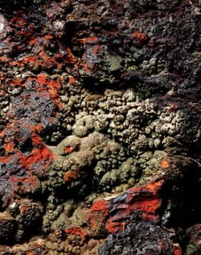 Goethite concrezionata varicolore.De Agostini Picture Library / A. Rizzi Goethite concrezionata varicolore.De Agostini Picture Library / A. Rizzi