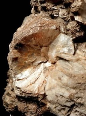 Lepidolite. De Agostini Picture Library/A. Rizzi Lepidolite. De Agostini Picture Library/A. Rizzi