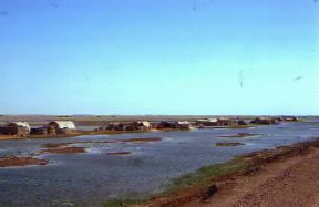 Eufrate. Veduta di un tratto paludoso del fiume presso Nasirya, nell'Iraq meridionale.De Agostini Picture Library Eufrate. Veduta di un tratto paludoso del fiume presso Nasirya, nell'Iraq meridionale.De Agostini Picture Library