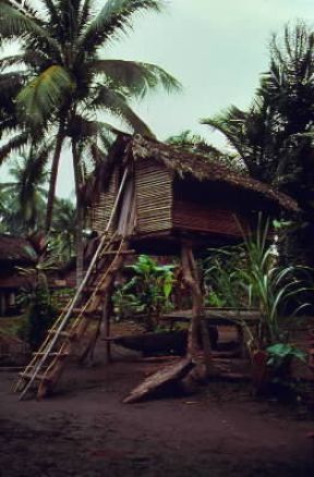 Papua . Una caratteristica capanna su palafitte lungo il fiume Sepik.De Agostini Picture Library/A. Facchinetti Papua . Una caratteristica capanna su palafitte lungo il fiume Sepik.De Agostini Picture Library/A. Facchinetti