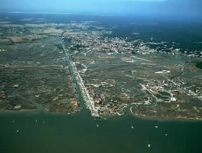 Francia. Veduta aerea degli allevamenti di ostriche de La Tremblade nella Charente Maritime.De Agostini Picture Library/ Pubbli Aer Foto Francia. Veduta aerea degli allevamenti di ostriche de La Tremblade nella Charente Maritime.De Agostini Picture Library/ Pubbli Aer Foto