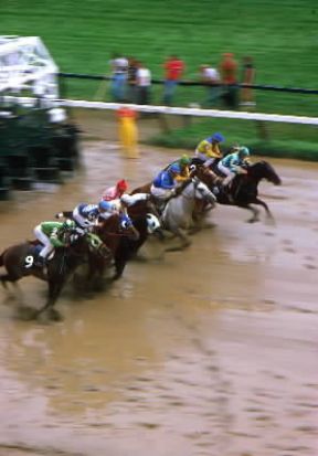 Ippica . La partenza nella corsa Race al galoppo a Saratoga Springs, negli Stati Uniti.De Agostini Picture Library/M. Bertinetti Ippica . La partenza nella corsa Race al galoppo a Saratoga Springs, negli Stati Uniti.De Agostini Picture Library/M. Bertinetti