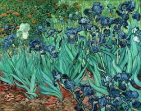 Vincent Van Gogh. Iris (Collezione privata).De Agostini Picture Library Vincent Van Gogh. Iris (Collezione privata).De Agostini Picture Library