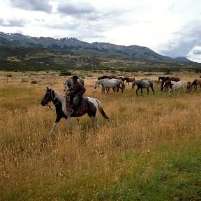 Pampa . Un gaucho conduce i cavalli al pascolo.De Agostini Picture Library/P. Jaccod Pampa . Un gaucho conduce i cavalli al pascolo.De Agostini Picture Library/P. Jaccod