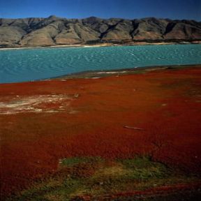 Patagonia . Veduta del lago Argentino.De Agostini Picture Library/P. Jaccod Patagonia . Veduta del lago Argentino.De Agostini Picture Library/P. Jaccod