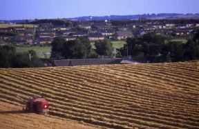 Danimarca . Lavori agricoli nei pressi di Grenå.De Agostini Picture Library/S. Vannini Danimarca . Lavori agricoli nei pressi di Grenå.De Agostini Picture Library/S. Vannini