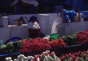 Messico. Scorcio del mercato di San Cristóbal de las Casas, nel Chiapas; i piccoli coltivatori del Paese sono ancora legati a una agricoltura di pura sussistenza.De Agostini Picture Library/G. Sioën Messico. Scorcio del mercato di San Cristóbal de las Casas, nel Chiapas; i piccoli coltivatori del Paese sono ancora legati a una agricoltura di pura sussistenza.De Agostini Picture Library/G. Sioën