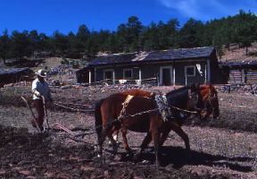 Messico. Un contadino nella zona di Chihuahua; l'agricoltura non ha raggiunto ancora il pieno sviluppo.De Agostini Picture Library/G. Sioën Messico. Un contadino nella zona di Chihuahua; l'agricoltura non ha raggiunto ancora il pieno sviluppo.De Agostini Picture Library/G. Sioën