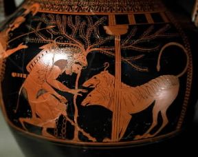 Ercole e Cerbero in un'anfora attribuita al Pittore di Andocide (particolare; Parigi, Louvre).De Agostini Picture Library/G. Dagli Orti Ercole e Cerbero in un'anfora attribuita al Pittore di Andocide (particolare; Parigi, Louvre).De Agostini Picture Library/G. Dagli Orti