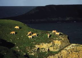 Galles. La costa rocciosa a Capo Worms, nella penisola di Gower.De Agostini Picture Library/G. Wright Galles. La costa rocciosa a Capo Worms, nella penisola di Gower.De Agostini Picture Library/G. Wright