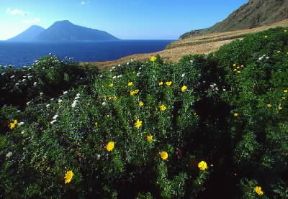 Lipari. Un tratto della costa presso punta Palmeto.De Agostini Picture Library/G. Roli Lipari. Un tratto della costa presso punta Palmeto.De Agostini Picture Library/G. Roli