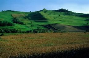 Romania. Coltivazioni in una zona collinare.De Agostini Picture Library / C. Sappa