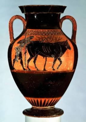 Ercole raffigurato con il toro in un'anfora attica a figure nere (sec. VI a. C.; Boston, Museum of Fine Arts).De Agostini Picture Library Ercole raffigurato con il toro in un'anfora attica a figure nere (sec. VI a. C.; Boston, Museum of Fine Arts).De Agostini Picture Library