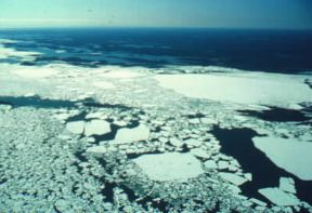 Canada. Il Gran Lago degli Schiavi.De Agostini Picture Library/M. Bertinetti