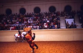 Cavallerizzo durante la Fiera del cavallo a Jerez de la Frontera in Spagna.De Agostini Picture Library/S. Vannini Cavallerizzo durante la Fiera del cavallo a Jerez de la Frontera in Spagna.De Agostini Picture Library/S. Vannini