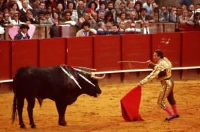 Corrida. Il matador armato di volapié sta per finire il toro.De Agostini Picture Library / C. Sappa Corrida. Il matador armato di volapié sta per finire il toro.De Agostini Picture Library / C. Sappa