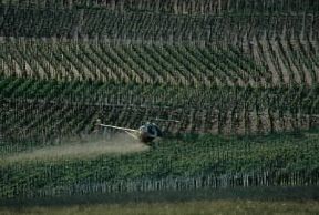 Aeroirrorazione. Elicottero utilizzato per la solfatura di vigneti.De Agostini Picture Library/A. Vergani Aeroirrorazione. Elicottero utilizzato per la solfatura di vigneti.De Agostini Picture Library/A. Vergani