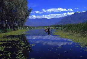 India . Un tratto del lago Dal, alla periferia di Srinagar, nella regione del Kashmir.De Agostini Picture Library/M. Bertinetti India . Un tratto del lago Dal, alla periferia di Srinagar, nella regione del Kashmir.De Agostini Picture Library/M. Bertinetti