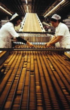 Biscotto . Controllo dei biscotti nel reparto di confezionamento di una industria dolciaria della Lombardia.De Agostini Picture Library/A. Vergani Biscotto . Controllo dei biscotti nel reparto di confezionamento di una industria dolciaria della Lombardia.De Agostini Picture Library/A. Vergani