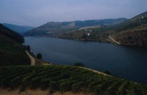 Duero. Il fiume prima di gettarsi nell'Oceano Atlantico presso Porto.De Agostini Picture Library/S.Vannini Duero. Il fiume prima di gettarsi nell'Oceano Atlantico presso Porto.De Agostini Picture Library/S.Vannini