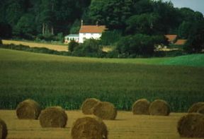 Inghilterra . Residenza di campagna del Sussex.De Agostini Picture Library/A. Vergani Inghilterra . Residenza di campagna del Sussex.De Agostini Picture Library/A. Vergani
