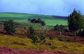 Scozia. Gli Highlands.De Agostini Picture Library / G. Roli Scozia. Gli Highlands.De Agostini Picture Library / G. Roli