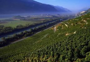 Svizzera. Vigneti presso Sierre nella valle del Rodano.De Agostini Picture Library/A. Vergani Svizzera. Vigneti presso Sierre nella valle del Rodano.De Agostini Picture Library/A. Vergani