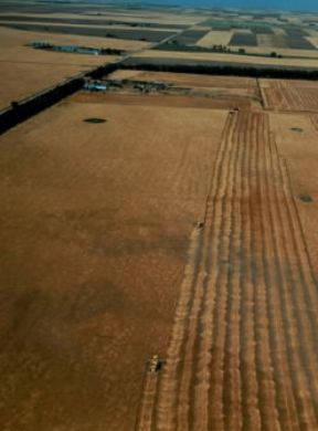 Agricoltura. Raccolta del grano con l'ausilio di mezzi meccanici nel Nebraska (U.S.A.).De Agostini Picture Library/Pubbliaerfoto Agricoltura. Raccolta del grano con l'ausilio di mezzi meccanici nel Nebraska (U.S.A.).De Agostini Picture Library/Pubbliaerfoto