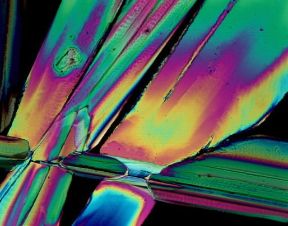 Macrofotografia di cristalli di acido urico. Qualora la ripresa dei dettagli richieda notevoli ingrandimenti si usano obiettivi speciali, detti Macrofotografia di cristalli di acido urico. Qualora la ripresa dei dettagli richieda notevoli ingrandimenti si usano obiettivi speciali, detti