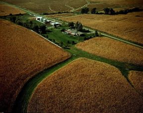 Illinois . Veduta di una fattoria nei pressi di Peoria.De Agostini Picture Library/Pubbli Aer Foto Illinois . Veduta di una fattoria nei pressi di Peoria.De Agostini Picture Library/Pubbli Aer Foto