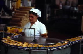 Industria . Interno di un'industria alimentare di Napoli.De Agostini Picture Library/A. Vergani Industria . Interno di un'industria alimentare di Napoli.De Agostini Picture Library/A. Vergani