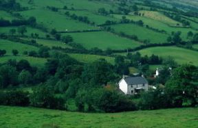 Irlanda . Paesaggio agricolo sull'altopiano basaltico di Antrim, nell'Irlanda nord-orientale.De Agostini Picture Library/G. Nimatallah Irlanda . Paesaggio agricolo sull'altopiano basaltico di Antrim, nell'Irlanda nord-orientale.De Agostini Picture Library/G. Nimatallah