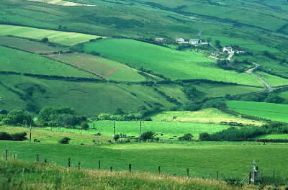 Irlanda . Campi coltivati sull'altopiano basaltico di Antrim, nell'Irlanda nord-orientale.De Agostini Picture Library/G. Nimatallah Irlanda . Campi coltivati sull'altopiano basaltico di Antrim, nell'Irlanda nord-orientale.De Agostini Picture Library/G. Nimatallah