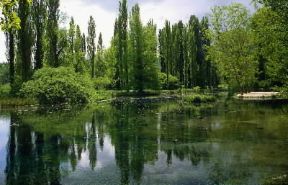Fonti del Clitunno. Il laghetto da cui ha origine il fiume omonimo.De Agostini Picture Library/M. Leigheb Fonti del Clitunno. Il laghetto da cui ha origine il fiume omonimo.De Agostini Picture Library/M. Leigheb